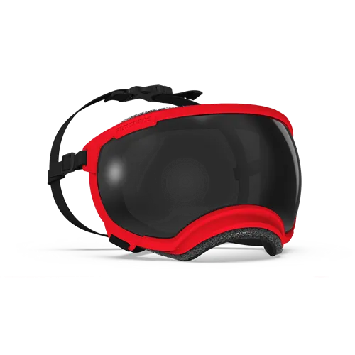 Rex Specs Goggles for Dogs - V2
