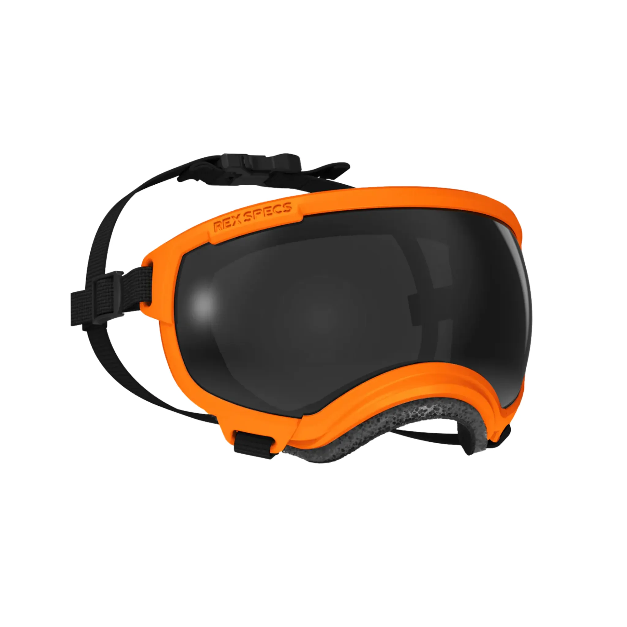 Rex Specs Goggles for Dogs - V2