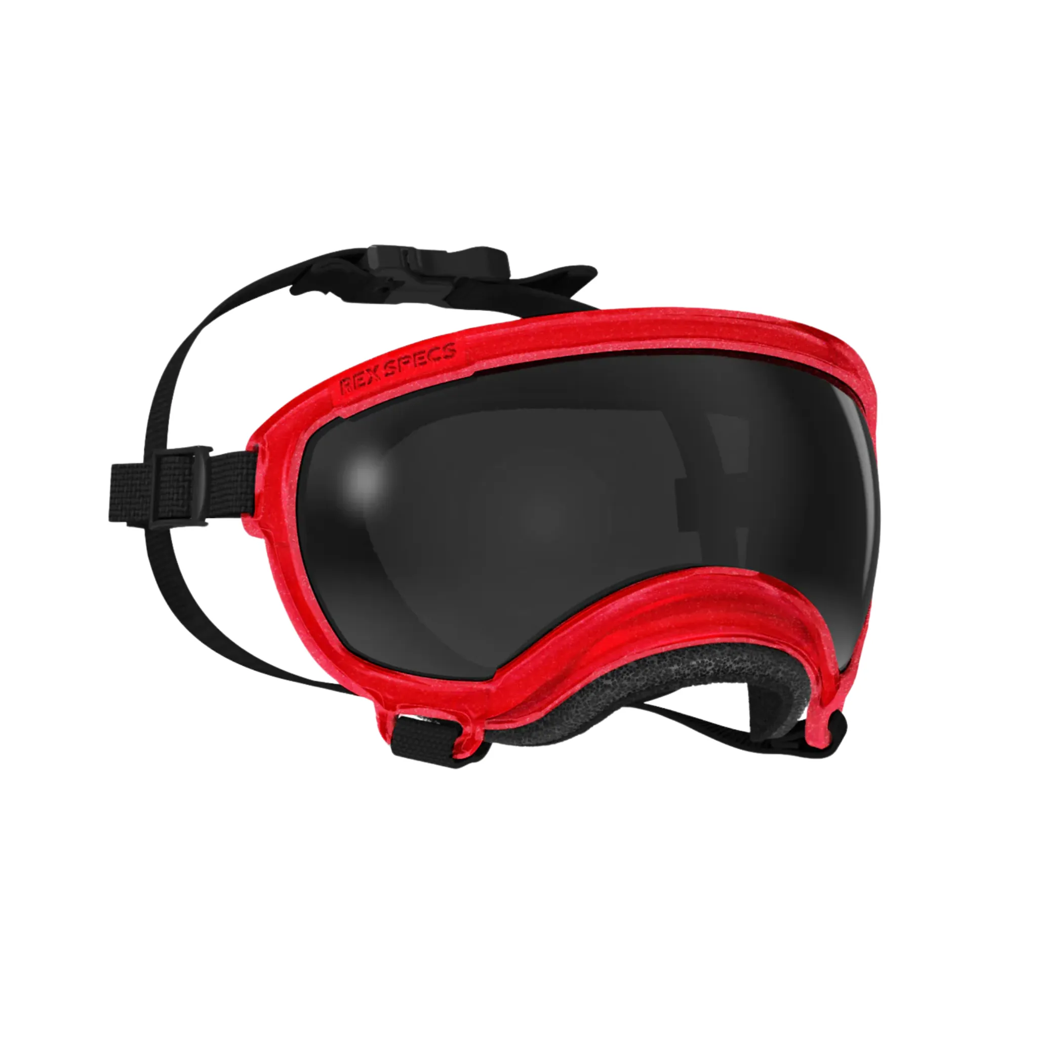 Rex Specs Goggles for Dogs - V2